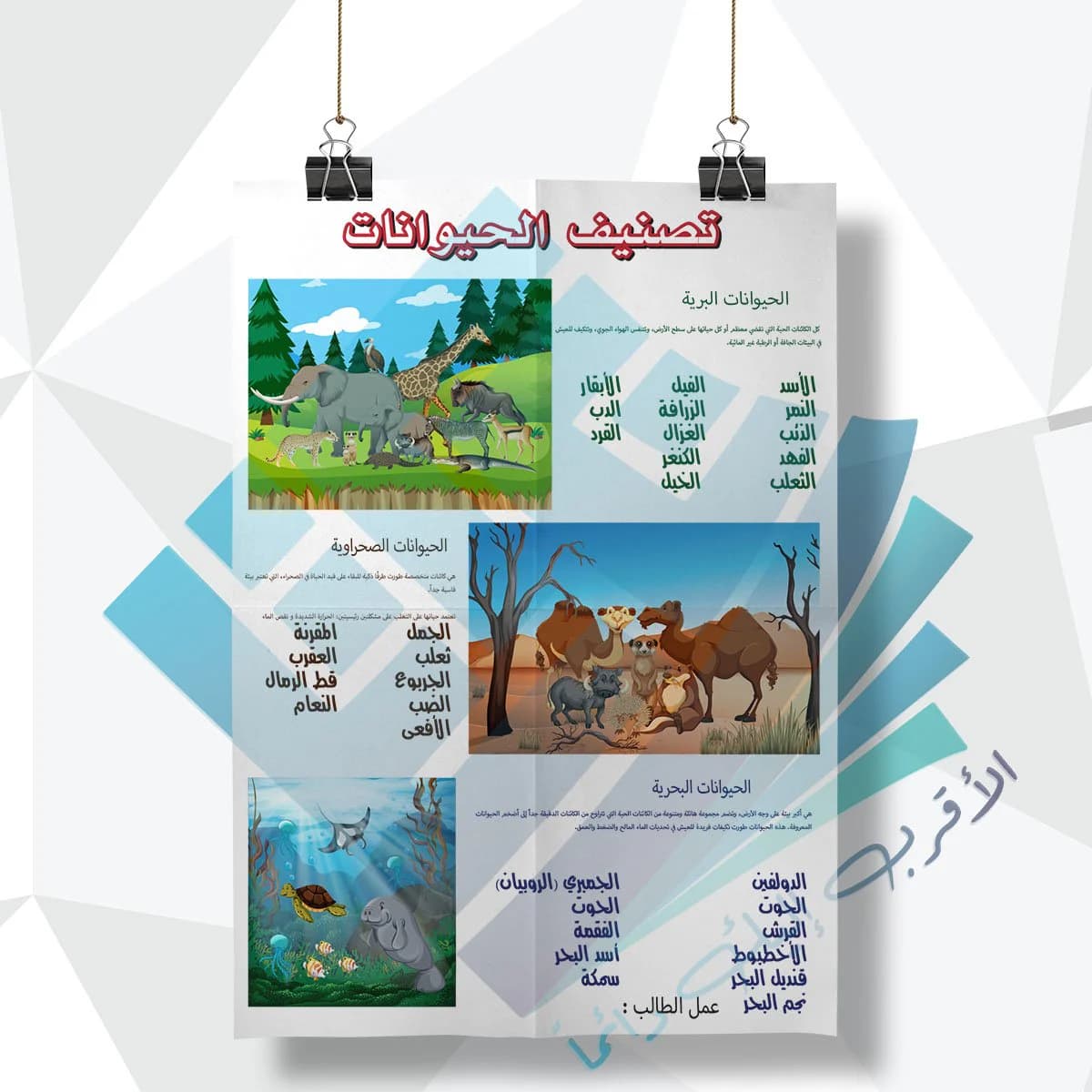 لوحة مدرسية عن تصنيف الحيوانات